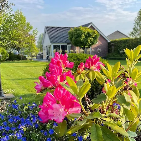 Bij De Buuren Guest house Dirksland