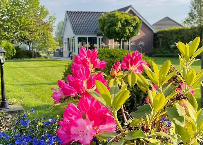 Bij De Buuren Guest house Dirksland