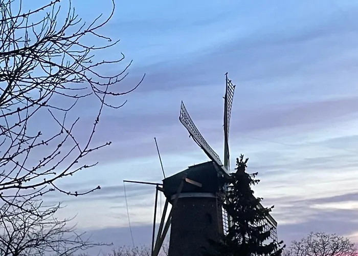 Bij De Buuren Guest house Dirksland