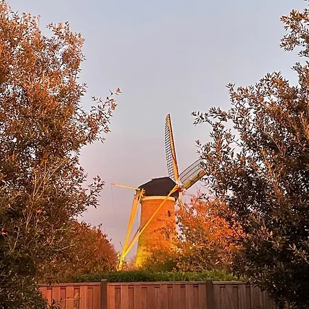 Pensionat Bij De Buuren Dirksland