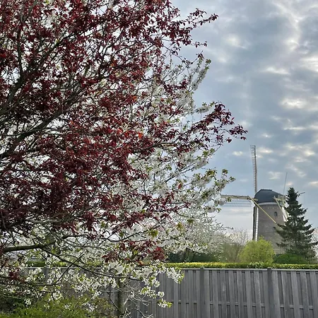 Bij De Buuren Pensionat Dirksland