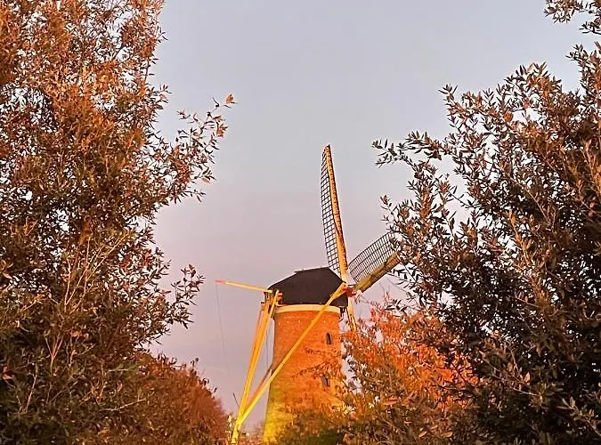 Gasthuis Bij De Buuren Dirksland