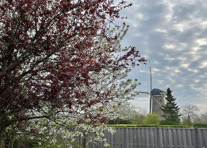 Bij De Buuren Gasthuis Dirksland